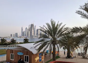 Southern, Oceana, Palm