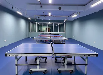 Spin and Smash Table Tennis Academy