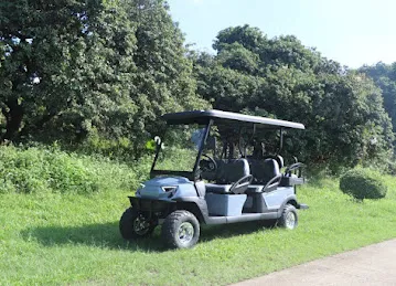 Sport kart Electric Golf Carts supplier