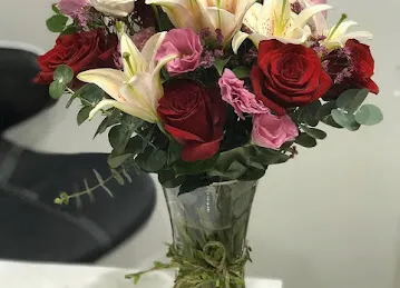 Spring Rose Flower