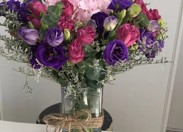 Spring Rose Flower
