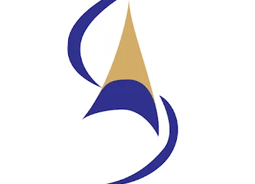 Standard Auditing