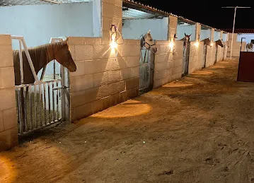 اسطبل الجوهرة العين