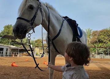اسطبل الريان لتدريب الفروسيه