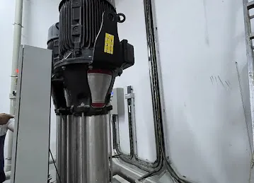 Stefos pumps