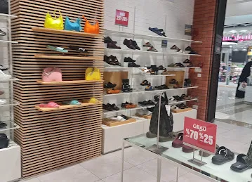 Steve Madden
