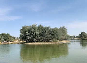 StrEat Fries Al Qudra Lake