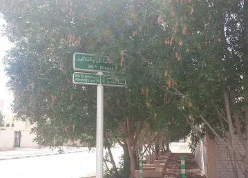 Street 36 building 3