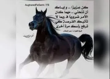استراحة الكحل
