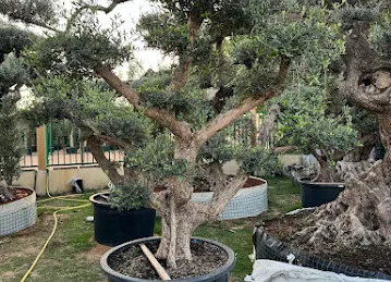 Sustainable Garden Trading LLC