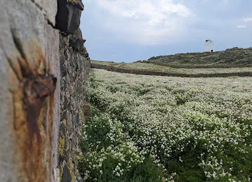 سوبر الفداء