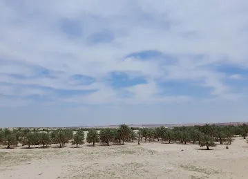 Sweihan Bird Training Complex