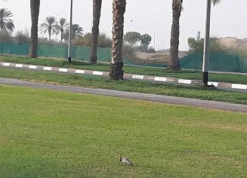 سوق جنب سوق نايف