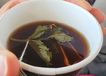 T12 specialty tea