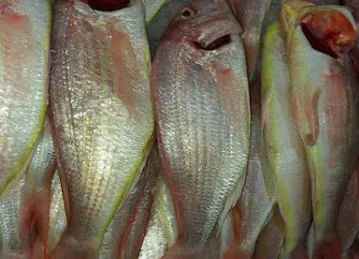 Tahir Sultan Fresh Fish I Fresh Beef I Fresh Mutton I Home Delivery in UAE.