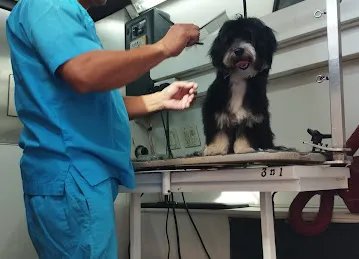 Tail Waggin' | Pet Boarding & Daycare | Pet Grooming