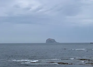Tanha