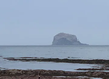 Tanha