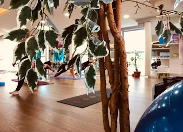 Tapas Power Yoga Center