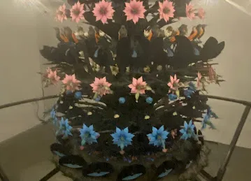 Tatintsian Gallery