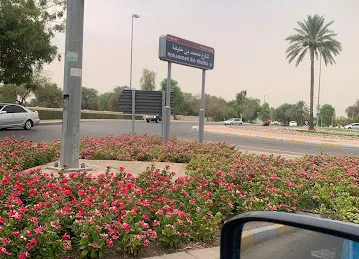تبزيرة مشاكيك