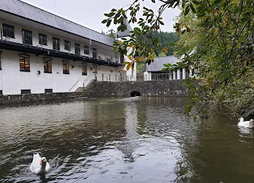 Tea Oasis cafeteria