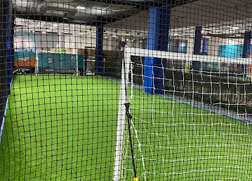 The Ball Court