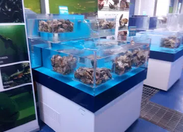 The Big Blu Live Seafood Shop