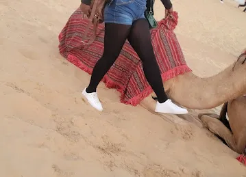 The Desert Safari Dubai - Right Adventure Tourism