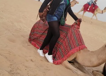 The Desert Safari Dubai - Right Adventure Tourism