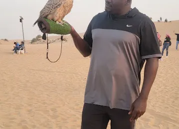 The Desert Safari Dubai - Right Adventure Tourism