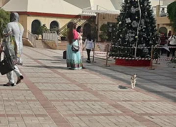The Dubai City Church