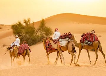 The Dune Bashing Experience Dubai
