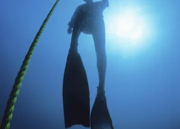 The Freediving Club