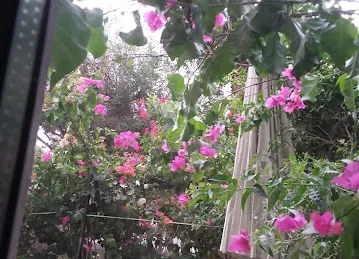 The Gardens Building 112
