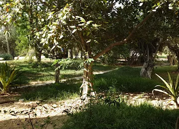 The Gardens Building 68
