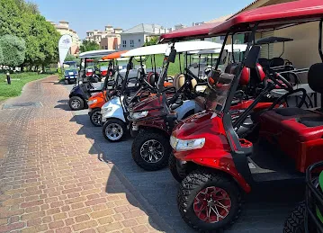 The Golf Buggy Guy