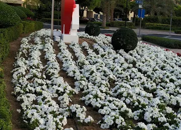The Greens Property Dubai