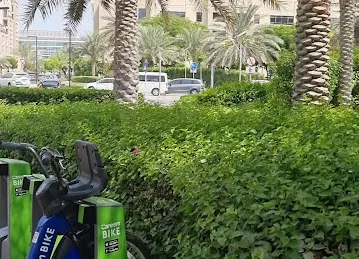 The Greens Property Dubai