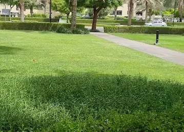The Greens Property Dubai