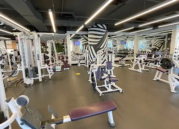 The Gym - Vision Tower