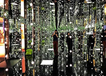 The Light Room