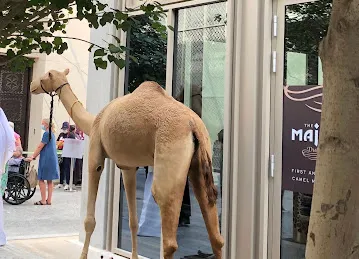 The Majlis Café
