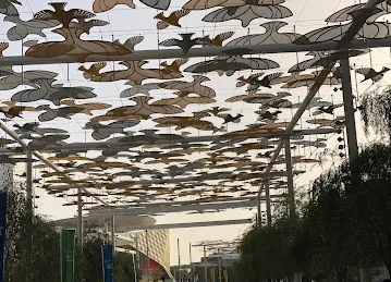The Majlis Café