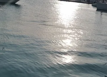 The Pavilion Marina & Sports Club