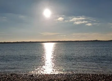 The spot