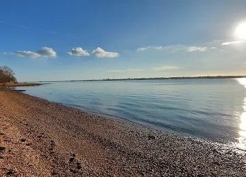 The spot