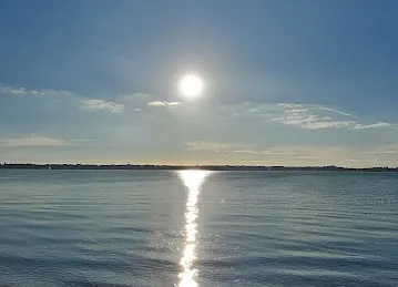 The spot