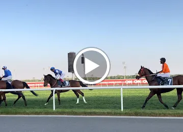 The Stables Dubai at Meydan World Cup