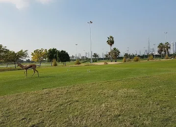 The Track, Meydan Golf